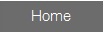 Home_ON.jpg (1588 byte)