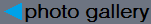 PhotoGallery.png (1709 byte)